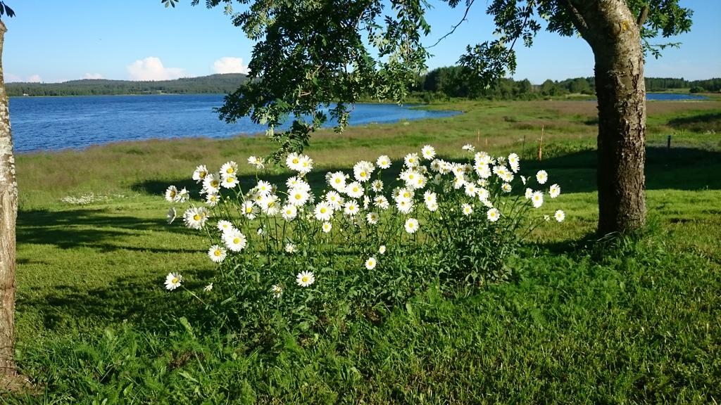 Вилла Nivagarden Korpikyla Экстерьер фото
